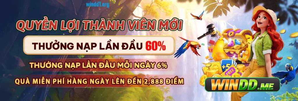 windd banner quyen loi thanh vien moi
